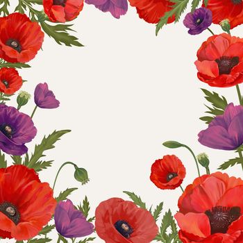 Poppy framed background
