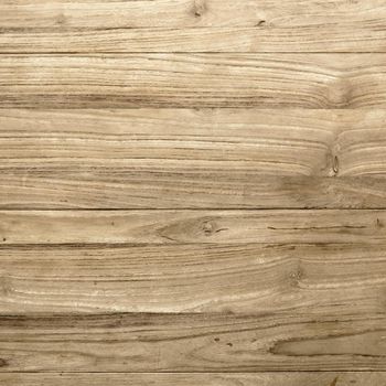 Oak wood textured background vector