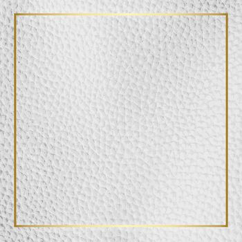 Gold frame on white leather background vector