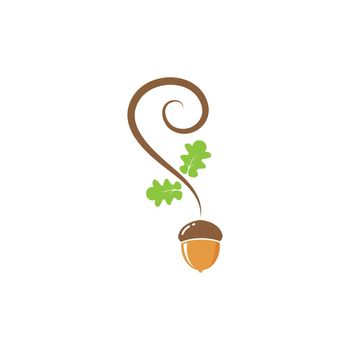 oak acorn vector illustration design