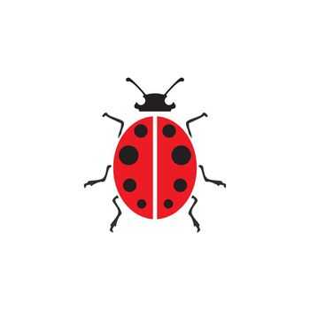 ladybird animal  vector logo symbol icon