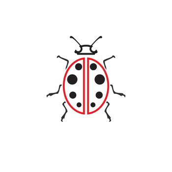 ladybird animal  vector logo symbol icon