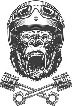 Ferocious gorilla head in motorcycle helmet