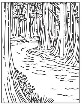 An Old Growth Bottomland Hardwood Forest in Congaree National Park in Central South Carolina United States Mono Line or Monoline Black and White Line Art