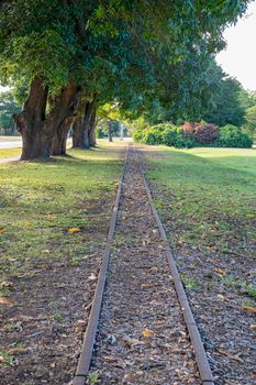 Old Railway Tracks Beside Trees
