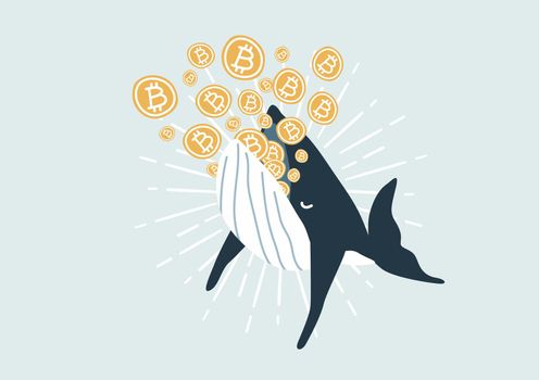 Whale eating Bitcoin. Bitcoin Whales are considered market players with significant funds that are able to move the cryptocurrency market.Whale eating Bitcoin. Bitcoin Whales are considered market players with significant funds that are able to move the cryptocurrency market.
