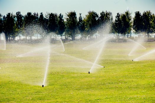 Lawn water sprinkler spraying water over green grass 