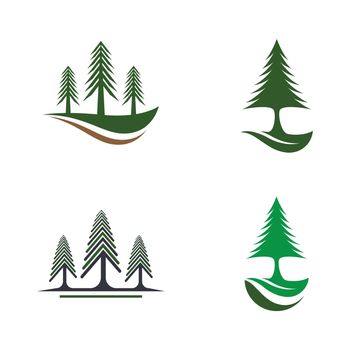 Pine tree vector icon illustration