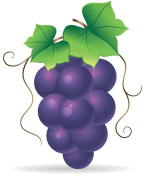 Color Icon - Grape