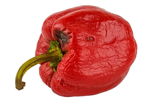 rotten red bell pepper isolated on white background