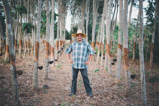 Farmer agriculturist Rubber tree plantation
