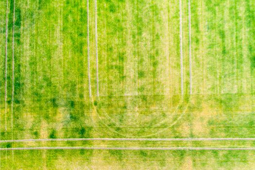 Above view of tractor traces over green field during springtime