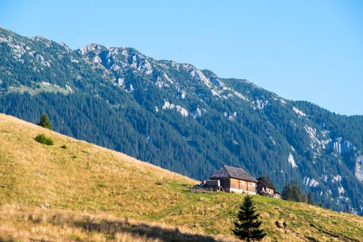 House on mountain pasture during summer in Romanian Carpathians