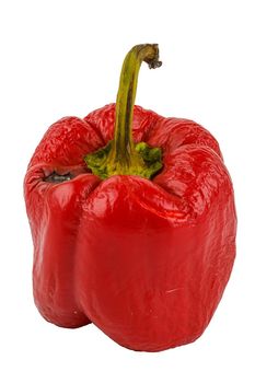 rotten red bell pepper isolated on white background
