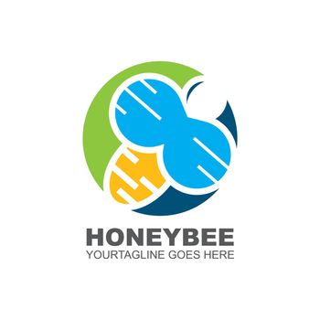 honey Bee Template vector icon illustration
