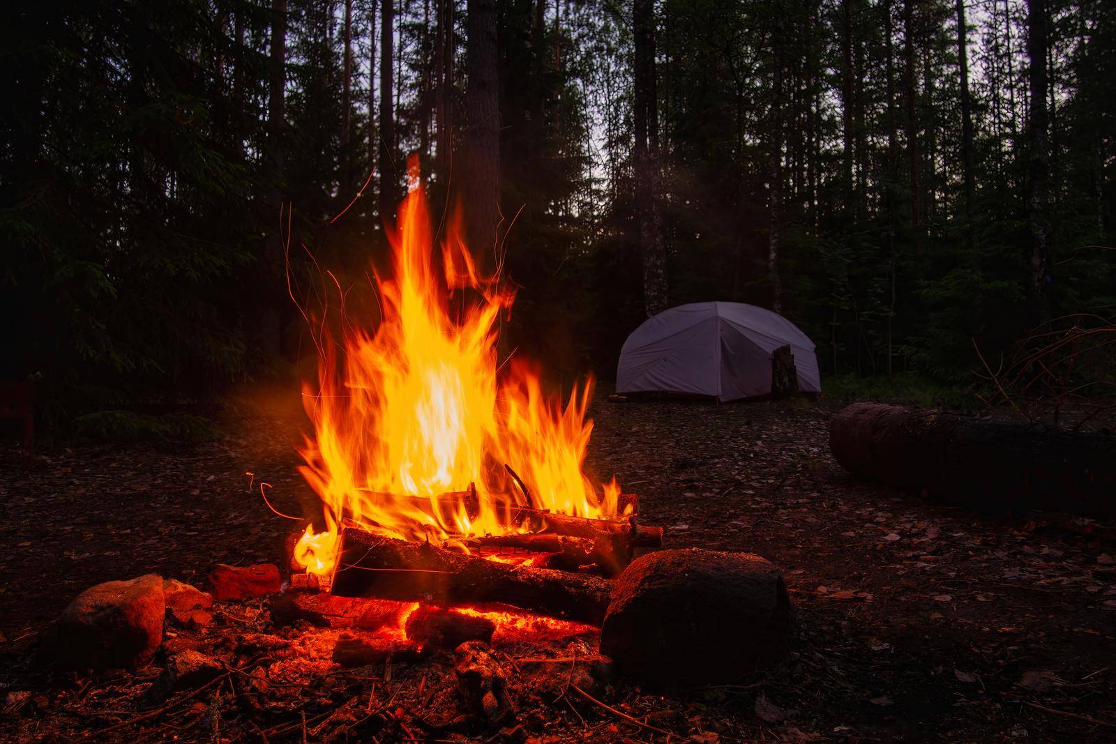 Burning campfire, with camping tent in the background, deep inside the forest, at sunset.
